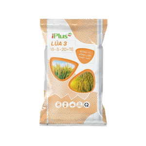 Phân bón IPLUS Lúa 3 (15-5-20+TE) chuyên dùng giai đoạn đòng trổ giúp bông lớn, tăng tỷ lệ chắc hạt, hạn chế đổ ngã và nâng cao năng suất lúa.
