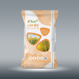 Phân bón IPLUS 22-12-6+TE chuyên dùng cho lúa giai đoạn đẻ nhánh