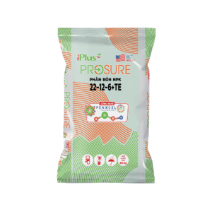 Phân bón NPK IPLUS 22-12-6+TE (PROSURE) chứa hoạt chất PKMe công nghệ Penxcel Mỹ bổ sung vi lượng giúp phục hồi rễ và phát triển mạnh mẽ.