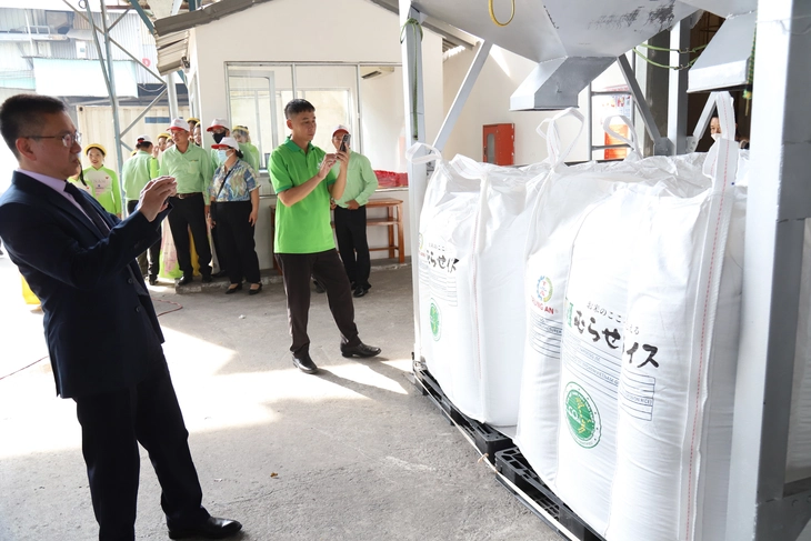 phát thải thấp - Ảnh 2.