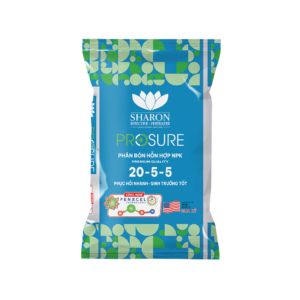 Phân bón NPK IPLUS SHERON PROSURE PKMe 20-5-5 giúp phục hồi nhanh chóng và thúc đẩy sinh trưởng tốt.